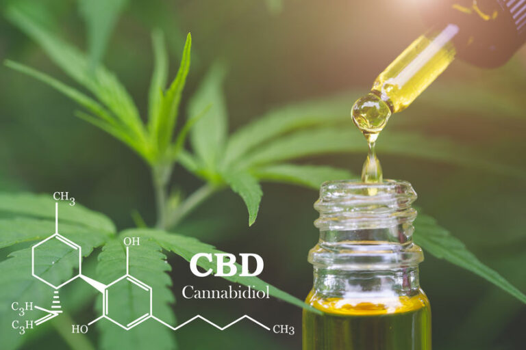 CBD  elements in Cannabis, Hemp oil, medical marijuana,  cannab